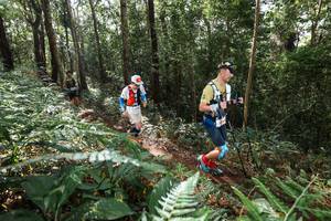 BIB: 
                            <button type="button" onclick="openModal(22546931)" class="btn btn-primary btn-sm float-right btn-popup" data-toggle="modal" data-target=".modal-high-quality">
                        <i class="fas fa-shopping-cart"></i> Add to Cart
                    </button>
                                            <button type="button" onclick="isThisMe(22546931, true)" class="btn btn-success btn-sm float-right btn-popup btn-isme hidden" data-toggle="tooltip" data-placement="bottom" title="นี่คือรูปของคุณใช่ไหม คลิกที่นี่เพื่อเอาเข้าอัลบั้ม">
                        <i class="fas fa-plus"></i> Add to album
                    </button>
                    <button type="button" onclick="isThisMe(22546931, false)" class="btn btn-warning btn-sm float-right btn-popup btn-isnotme hidden">
                        <i class="fas fa-ban"></i> Remove from album
                    </button>