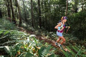 BIB: 
                            <button type="button" onclick="openModal(22544380)" class="btn btn-primary btn-sm float-right btn-popup" data-toggle="modal" data-target=".modal-high-quality">
                        <i class="fas fa-shopping-cart"></i> Add to Cart
                    </button>
                                            <button type="button" onclick="isThisMe(22544380, true)" class="btn btn-success btn-sm float-right btn-popup btn-isme hidden" data-toggle="tooltip" data-placement="bottom" title="นี่คือรูปของคุณใช่ไหม คลิกที่นี่เพื่อเอาเข้าอัลบั้ม">
                        <i class="fas fa-plus"></i> Add to album
                    </button>
                    <button type="button" onclick="isThisMe(22544380, false)" class="btn btn-warning btn-sm float-right btn-popup btn-isnotme hidden">
                        <i class="fas fa-ban"></i> Remove from album
                    </button>