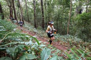 BIB: 
                            <button type="button" onclick="openModal(22566887)" class="btn btn-primary btn-sm float-right btn-popup" data-toggle="modal" data-target=".modal-high-quality">
                        <i class="fas fa-shopping-cart"></i> Add to Cart
                    </button>
                                            <button type="button" onclick="isThisMe(22566887, true)" class="btn btn-success btn-sm float-right btn-popup btn-isme hidden" data-toggle="tooltip" data-placement="bottom" title="นี่คือรูปของคุณใช่ไหม คลิกที่นี่เพื่อเอาเข้าอัลบั้ม">
                        <i class="fas fa-plus"></i> Add to album
                    </button>
                    <button type="button" onclick="isThisMe(22566887, false)" class="btn btn-warning btn-sm float-right btn-popup btn-isnotme hidden">
                        <i class="fas fa-ban"></i> Remove from album
                    </button>