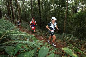 BIB: 3262
                            <button type="button" onclick="openModal(22537041)" class="btn btn-primary btn-sm float-right btn-popup" data-toggle="modal" data-target=".modal-high-quality">
                        <i class="fas fa-shopping-cart"></i> Add to Cart
                    </button>
                                            <button type="button" onclick="isThisMe(22537041, true)" class="btn btn-success btn-sm float-right btn-popup btn-isme hidden" data-toggle="tooltip" data-placement="bottom" title="นี่คือรูปของคุณใช่ไหม คลิกที่นี่เพื่อเอาเข้าอัลบั้ม">
                        <i class="fas fa-plus"></i> Add to album
                    </button>
                    <button type="button" onclick="isThisMe(22537041, false)" class="btn btn-warning btn-sm float-right btn-popup btn-isnotme hidden">
                        <i class="fas fa-ban"></i> Remove from album
                    </button>