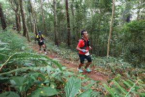 BIB: 
                            <button type="button" onclick="openModal(22574817)" class="btn btn-primary btn-sm float-right btn-popup" data-toggle="modal" data-target=".modal-high-quality">
                        <i class="fas fa-shopping-cart"></i> Add to Cart
                    </button>
                                            <button type="button" onclick="isThisMe(22574817, true)" class="btn btn-success btn-sm float-right btn-popup btn-isme hidden" data-toggle="tooltip" data-placement="bottom" title="นี่คือรูปของคุณใช่ไหม คลิกที่นี่เพื่อเอาเข้าอัลบั้ม">
                        <i class="fas fa-plus"></i> Add to album
                    </button>
                    <button type="button" onclick="isThisMe(22574817, false)" class="btn btn-warning btn-sm float-right btn-popup btn-isnotme hidden">
                        <i class="fas fa-ban"></i> Remove from album
                    </button>