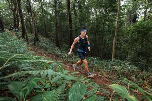 BIB: 
                            <button type="button" onclick="openModal(22542933)" class="btn btn-primary btn-sm float-right btn-popup" data-toggle="modal" data-target=".modal-high-quality">
                        <i class="fas fa-shopping-cart"></i> Add to Cart
                    </button>
                                            <button type="button" onclick="isThisMe(22542933, true)" class="btn btn-success btn-sm float-right btn-popup btn-isme hidden" data-toggle="tooltip" data-placement="bottom" title="นี่คือรูปของคุณใช่ไหม คลิกที่นี่เพื่อเอาเข้าอัลบั้ม">
                        <i class="fas fa-plus"></i> Add to album
                    </button>
                    <button type="button" onclick="isThisMe(22542933, false)" class="btn btn-warning btn-sm float-right btn-popup btn-isnotme hidden">
                        <i class="fas fa-ban"></i> Remove from album
                    </button>