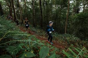 BIB: 
                            <button type="button" onclick="openModal(22582319)" class="btn btn-primary btn-sm float-right btn-popup" data-toggle="modal" data-target=".modal-high-quality">
                        <i class="fas fa-shopping-cart"></i> Add to Cart
                    </button>
                                            <button type="button" onclick="isThisMe(22582319, true)" class="btn btn-success btn-sm float-right btn-popup btn-isme hidden" data-toggle="tooltip" data-placement="bottom" title="นี่คือรูปของคุณใช่ไหม คลิกที่นี่เพื่อเอาเข้าอัลบั้ม">
                        <i class="fas fa-plus"></i> Add to album
                    </button>
                    <button type="button" onclick="isThisMe(22582319, false)" class="btn btn-warning btn-sm float-right btn-popup btn-isnotme hidden">
                        <i class="fas fa-ban"></i> Remove from album
                    </button>