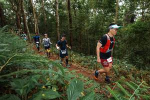 BIB: 384
                            <button type="button" onclick="openModal(22569398)" class="btn btn-primary btn-sm float-right btn-popup" data-toggle="modal" data-target=".modal-high-quality">
                        <i class="fas fa-shopping-cart"></i> Add to Cart
                    </button>
                                            <button type="button" onclick="isThisMe(22569398, true)" class="btn btn-success btn-sm float-right btn-popup btn-isme hidden" data-toggle="tooltip" data-placement="bottom" title="นี่คือรูปของคุณใช่ไหม คลิกที่นี่เพื่อเอาเข้าอัลบั้ม">
                        <i class="fas fa-plus"></i> Add to album
                    </button>
                    <button type="button" onclick="isThisMe(22569398, false)" class="btn btn-warning btn-sm float-right btn-popup btn-isnotme hidden">
                        <i class="fas fa-ban"></i> Remove from album
                    </button>