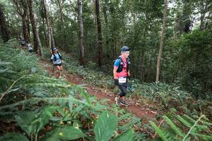 BIB: 39372
                            <button type="button" onclick="openModal(22567667)" class="btn btn-primary btn-sm float-right btn-popup" data-toggle="modal" data-target=".modal-high-quality">
                        <i class="fas fa-shopping-cart"></i> Add to Cart
                    </button>
                                            <button type="button" onclick="isThisMe(22567667, true)" class="btn btn-success btn-sm float-right btn-popup btn-isme hidden" data-toggle="tooltip" data-placement="bottom" title="นี่คือรูปของคุณใช่ไหม คลิกที่นี่เพื่อเอาเข้าอัลบั้ม">
                        <i class="fas fa-plus"></i> Add to album
                    </button>
                    <button type="button" onclick="isThisMe(22567667, false)" class="btn btn-warning btn-sm float-right btn-popup btn-isnotme hidden">
                        <i class="fas fa-ban"></i> Remove from album
                    </button>