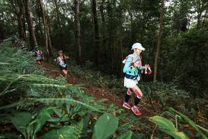 BIB: 
                            <button type="button" onclick="openModal(22538298)" class="btn btn-primary btn-sm float-right btn-popup" data-toggle="modal" data-target=".modal-high-quality">
                        <i class="fas fa-shopping-cart"></i> Add to Cart
                    </button>
                                            <button type="button" onclick="isThisMe(22538298, true)" class="btn btn-success btn-sm float-right btn-popup btn-isme hidden" data-toggle="tooltip" data-placement="bottom" title="นี่คือรูปของคุณใช่ไหม คลิกที่นี่เพื่อเอาเข้าอัลบั้ม">
                        <i class="fas fa-plus"></i> Add to album
                    </button>
                    <button type="button" onclick="isThisMe(22538298, false)" class="btn btn-warning btn-sm float-right btn-popup btn-isnotme hidden">
                        <i class="fas fa-ban"></i> Remove from album
                    </button>