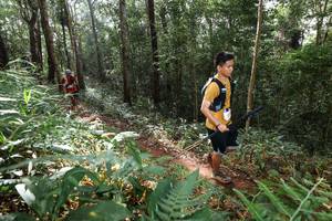 BIB: 
                            <button type="button" onclick="openModal(22545326)" class="btn btn-primary btn-sm float-right btn-popup" data-toggle="modal" data-target=".modal-high-quality">
                        <i class="fas fa-shopping-cart"></i> Add to Cart
                    </button>
                                            <button type="button" onclick="isThisMe(22545326, true)" class="btn btn-success btn-sm float-right btn-popup btn-isme hidden" data-toggle="tooltip" data-placement="bottom" title="นี่คือรูปของคุณใช่ไหม คลิกที่นี่เพื่อเอาเข้าอัลบั้ม">
                        <i class="fas fa-plus"></i> Add to album
                    </button>
                    <button type="button" onclick="isThisMe(22545326, false)" class="btn btn-warning btn-sm float-right btn-popup btn-isnotme hidden">
                        <i class="fas fa-ban"></i> Remove from album
                    </button>