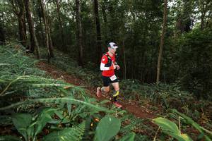 BIB: 1384
                            <button type="button" onclick="openModal(22533648)" class="btn btn-primary btn-sm float-right btn-popup" data-toggle="modal" data-target=".modal-high-quality">
                        <i class="fas fa-shopping-cart"></i> Add to Cart
                    </button>
                                            <button type="button" onclick="isThisMe(22533648, true)" class="btn btn-success btn-sm float-right btn-popup btn-isme hidden" data-toggle="tooltip" data-placement="bottom" title="นี่คือรูปของคุณใช่ไหม คลิกที่นี่เพื่อเอาเข้าอัลบั้ม">
                        <i class="fas fa-plus"></i> Add to album
                    </button>
                    <button type="button" onclick="isThisMe(22533648, false)" class="btn btn-warning btn-sm float-right btn-popup btn-isnotme hidden">
                        <i class="fas fa-ban"></i> Remove from album
                    </button>