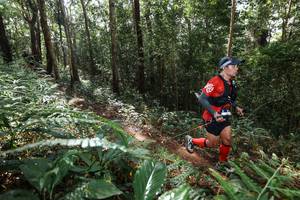 BIB: 
                            <button type="button" onclick="openModal(22547051)" class="btn btn-primary btn-sm float-right btn-popup" data-toggle="modal" data-target=".modal-high-quality">
                        <i class="fas fa-shopping-cart"></i> Add to Cart
                    </button>
                                            <button type="button" onclick="isThisMe(22547051, true)" class="btn btn-success btn-sm float-right btn-popup btn-isme hidden" data-toggle="tooltip" data-placement="bottom" title="นี่คือรูปของคุณใช่ไหม คลิกที่นี่เพื่อเอาเข้าอัลบั้ม">
                        <i class="fas fa-plus"></i> Add to album
                    </button>
                    <button type="button" onclick="isThisMe(22547051, false)" class="btn btn-warning btn-sm float-right btn-popup btn-isnotme hidden">
                        <i class="fas fa-ban"></i> Remove from album
                    </button>