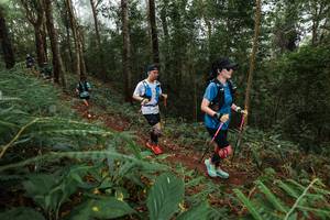 BIB: 
                            <button type="button" onclick="openModal(22571433)" class="btn btn-primary btn-sm float-right btn-popup" data-toggle="modal" data-target=".modal-high-quality">
                        <i class="fas fa-shopping-cart"></i> Add to Cart
                    </button>
                                            <button type="button" onclick="isThisMe(22571433, true)" class="btn btn-success btn-sm float-right btn-popup btn-isme hidden" data-toggle="tooltip" data-placement="bottom" title="นี่คือรูปของคุณใช่ไหม คลิกที่นี่เพื่อเอาเข้าอัลบั้ม">
                        <i class="fas fa-plus"></i> Add to album
                    </button>
                    <button type="button" onclick="isThisMe(22571433, false)" class="btn btn-warning btn-sm float-right btn-popup btn-isnotme hidden">
                        <i class="fas fa-ban"></i> Remove from album
                    </button>