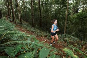 BIB: 
                            <button type="button" onclick="openModal(22534943)" class="btn btn-primary btn-sm float-right btn-popup" data-toggle="modal" data-target=".modal-high-quality">
                        <i class="fas fa-shopping-cart"></i> Add to Cart
                    </button>
                                            <button type="button" onclick="isThisMe(22534943, true)" class="btn btn-success btn-sm float-right btn-popup btn-isme hidden" data-toggle="tooltip" data-placement="bottom" title="นี่คือรูปของคุณใช่ไหม คลิกที่นี่เพื่อเอาเข้าอัลบั้ม">
                        <i class="fas fa-plus"></i> Add to album
                    </button>
                    <button type="button" onclick="isThisMe(22534943, false)" class="btn btn-warning btn-sm float-right btn-popup btn-isnotme hidden">
                        <i class="fas fa-ban"></i> Remove from album
                    </button>