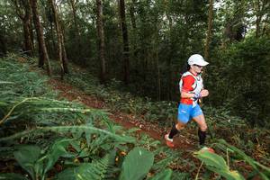 BIB: 
                            <button type="button" onclick="openModal(22533923)" class="btn btn-primary btn-sm float-right btn-popup" data-toggle="modal" data-target=".modal-high-quality">
                        <i class="fas fa-shopping-cart"></i> Add to Cart
                    </button>
                                            <button type="button" onclick="isThisMe(22533923, true)" class="btn btn-success btn-sm float-right btn-popup btn-isme hidden" data-toggle="tooltip" data-placement="bottom" title="นี่คือรูปของคุณใช่ไหม คลิกที่นี่เพื่อเอาเข้าอัลบั้ม">
                        <i class="fas fa-plus"></i> Add to album
                    </button>
                    <button type="button" onclick="isThisMe(22533923, false)" class="btn btn-warning btn-sm float-right btn-popup btn-isnotme hidden">
                        <i class="fas fa-ban"></i> Remove from album
                    </button>