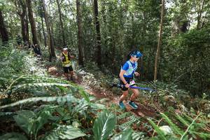 BIB: 
                            <button type="button" onclick="openModal(22563149)" class="btn btn-primary btn-sm float-right btn-popup" data-toggle="modal" data-target=".modal-high-quality">
                        <i class="fas fa-shopping-cart"></i> Add to Cart
                    </button>
                                            <button type="button" onclick="isThisMe(22563149, true)" class="btn btn-success btn-sm float-right btn-popup btn-isme hidden" data-toggle="tooltip" data-placement="bottom" title="นี่คือรูปของคุณใช่ไหม คลิกที่นี่เพื่อเอาเข้าอัลบั้ม">
                        <i class="fas fa-plus"></i> Add to album
                    </button>
                    <button type="button" onclick="isThisMe(22563149, false)" class="btn btn-warning btn-sm float-right btn-popup btn-isnotme hidden">
                        <i class="fas fa-ban"></i> Remove from album
                    </button>