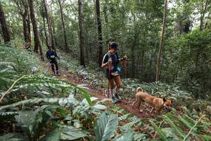 BIB: 
                            <button type="button" onclick="openModal(22564248)" class="btn btn-primary btn-sm float-right btn-popup" data-toggle="modal" data-target=".modal-high-quality">
                        <i class="fas fa-shopping-cart"></i> Add to Cart
                    </button>
                                            <button type="button" onclick="isThisMe(22564248, true)" class="btn btn-success btn-sm float-right btn-popup btn-isme hidden" data-toggle="tooltip" data-placement="bottom" title="นี่คือรูปของคุณใช่ไหม คลิกที่นี่เพื่อเอาเข้าอัลบั้ม">
                        <i class="fas fa-plus"></i> Add to album
                    </button>
                    <button type="button" onclick="isThisMe(22564248, false)" class="btn btn-warning btn-sm float-right btn-popup btn-isnotme hidden">
                        <i class="fas fa-ban"></i> Remove from album
                    </button>