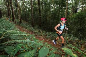 BIB: 
                            <button type="button" onclick="openModal(22534938)" class="btn btn-primary btn-sm float-right btn-popup" data-toggle="modal" data-target=".modal-high-quality">
                        <i class="fas fa-shopping-cart"></i> Add to Cart
                    </button>
                                            <button type="button" onclick="isThisMe(22534938, true)" class="btn btn-success btn-sm float-right btn-popup btn-isme hidden" data-toggle="tooltip" data-placement="bottom" title="นี่คือรูปของคุณใช่ไหม คลิกที่นี่เพื่อเอาเข้าอัลบั้ม">
                        <i class="fas fa-plus"></i> Add to album
                    </button>
                    <button type="button" onclick="isThisMe(22534938, false)" class="btn btn-warning btn-sm float-right btn-popup btn-isnotme hidden">
                        <i class="fas fa-ban"></i> Remove from album
                    </button>