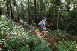 BIB: 
                            <button type="button" onclick="openModal(22546017)" class="btn btn-primary btn-sm float-right btn-popup" data-toggle="modal" data-target=".modal-high-quality">
                        <i class="fas fa-shopping-cart"></i> Add to Cart
                    </button>
                                            <button type="button" onclick="isThisMe(22546017, true)" class="btn btn-success btn-sm float-right btn-popup btn-isme hidden" data-toggle="tooltip" data-placement="bottom" title="นี่คือรูปของคุณใช่ไหม คลิกที่นี่เพื่อเอาเข้าอัลบั้ม">
                        <i class="fas fa-plus"></i> Add to album
                    </button>
                    <button type="button" onclick="isThisMe(22546017, false)" class="btn btn-warning btn-sm float-right btn-popup btn-isnotme hidden">
                        <i class="fas fa-ban"></i> Remove from album
                    </button>