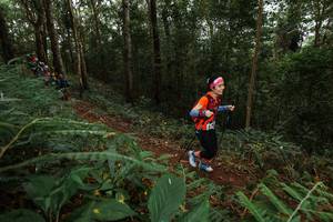 BIB: 
                            <button type="button" onclick="openModal(22582553)" class="btn btn-primary btn-sm float-right btn-popup" data-toggle="modal" data-target=".modal-high-quality">
                        <i class="fas fa-shopping-cart"></i> Add to Cart
                    </button>
                                            <button type="button" onclick="isThisMe(22582553, true)" class="btn btn-success btn-sm float-right btn-popup btn-isme hidden" data-toggle="tooltip" data-placement="bottom" title="นี่คือรูปของคุณใช่ไหม คลิกที่นี่เพื่อเอาเข้าอัลบั้ม">
                        <i class="fas fa-plus"></i> Add to album
                    </button>
                    <button type="button" onclick="isThisMe(22582553, false)" class="btn btn-warning btn-sm float-right btn-popup btn-isnotme hidden">
                        <i class="fas fa-ban"></i> Remove from album
                    </button>