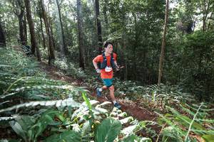 BIB: 
                            <button type="button" onclick="openModal(22543537)" class="btn btn-primary btn-sm float-right btn-popup" data-toggle="modal" data-target=".modal-high-quality">
                        <i class="fas fa-shopping-cart"></i> Add to Cart
                    </button>
                                            <button type="button" onclick="isThisMe(22543537, true)" class="btn btn-success btn-sm float-right btn-popup btn-isme hidden" data-toggle="tooltip" data-placement="bottom" title="นี่คือรูปของคุณใช่ไหม คลิกที่นี่เพื่อเอาเข้าอัลบั้ม">
                        <i class="fas fa-plus"></i> Add to album
                    </button>
                    <button type="button" onclick="isThisMe(22543537, false)" class="btn btn-warning btn-sm float-right btn-popup btn-isnotme hidden">
                        <i class="fas fa-ban"></i> Remove from album
                    </button>