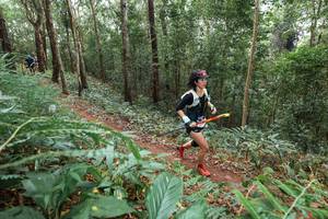 BIB: 
                            <button type="button" onclick="openModal(22581869)" class="btn btn-primary btn-sm float-right btn-popup" data-toggle="modal" data-target=".modal-high-quality">
                        <i class="fas fa-shopping-cart"></i> Add to Cart
                    </button>
                                            <button type="button" onclick="isThisMe(22581869, true)" class="btn btn-success btn-sm float-right btn-popup btn-isme hidden" data-toggle="tooltip" data-placement="bottom" title="นี่คือรูปของคุณใช่ไหม คลิกที่นี่เพื่อเอาเข้าอัลบั้ม">
                        <i class="fas fa-plus"></i> Add to album
                    </button>
                    <button type="button" onclick="isThisMe(22581869, false)" class="btn btn-warning btn-sm float-right btn-popup btn-isnotme hidden">
                        <i class="fas fa-ban"></i> Remove from album
                    </button>