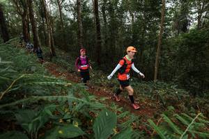 BIB: 
                            <button type="button" onclick="openModal(22571384)" class="btn btn-primary btn-sm float-right btn-popup" data-toggle="modal" data-target=".modal-high-quality">
                        <i class="fas fa-shopping-cart"></i> Add to Cart
                    </button>
                                            <button type="button" onclick="isThisMe(22571384, true)" class="btn btn-success btn-sm float-right btn-popup btn-isme hidden" data-toggle="tooltip" data-placement="bottom" title="นี่คือรูปของคุณใช่ไหม คลิกที่นี่เพื่อเอาเข้าอัลบั้ม">
                        <i class="fas fa-plus"></i> Add to album
                    </button>
                    <button type="button" onclick="isThisMe(22571384, false)" class="btn btn-warning btn-sm float-right btn-popup btn-isnotme hidden">
                        <i class="fas fa-ban"></i> Remove from album
                    </button>