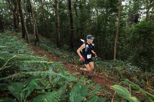 BIB: 
                            <button type="button" onclick="openModal(22542186)" class="btn btn-primary btn-sm float-right btn-popup" data-toggle="modal" data-target=".modal-high-quality">
                        <i class="fas fa-shopping-cart"></i> Add to Cart
                    </button>
                                            <button type="button" onclick="isThisMe(22542186, true)" class="btn btn-success btn-sm float-right btn-popup btn-isme hidden" data-toggle="tooltip" data-placement="bottom" title="นี่คือรูปของคุณใช่ไหม คลิกที่นี่เพื่อเอาเข้าอัลบั้ม">
                        <i class="fas fa-plus"></i> Add to album
                    </button>
                    <button type="button" onclick="isThisMe(22542186, false)" class="btn btn-warning btn-sm float-right btn-popup btn-isnotme hidden">
                        <i class="fas fa-ban"></i> Remove from album
                    </button>