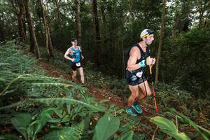 BIB: 
                            <button type="button" onclick="openModal(22533765)" class="btn btn-primary btn-sm float-right btn-popup" data-toggle="modal" data-target=".modal-high-quality">
                        <i class="fas fa-shopping-cart"></i> Add to Cart
                    </button>
                                            <button type="button" onclick="isThisMe(22533765, true)" class="btn btn-success btn-sm float-right btn-popup btn-isme hidden" data-toggle="tooltip" data-placement="bottom" title="นี่คือรูปของคุณใช่ไหม คลิกที่นี่เพื่อเอาเข้าอัลบั้ม">
                        <i class="fas fa-plus"></i> Add to album
                    </button>
                    <button type="button" onclick="isThisMe(22533765, false)" class="btn btn-warning btn-sm float-right btn-popup btn-isnotme hidden">
                        <i class="fas fa-ban"></i> Remove from album
                    </button>