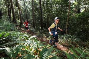 BIB: 
                            <button type="button" onclick="openModal(22544389)" class="btn btn-primary btn-sm float-right btn-popup" data-toggle="modal" data-target=".modal-high-quality">
                        <i class="fas fa-shopping-cart"></i> Add to Cart
                    </button>
                                            <button type="button" onclick="isThisMe(22544389, true)" class="btn btn-success btn-sm float-right btn-popup btn-isme hidden" data-toggle="tooltip" data-placement="bottom" title="นี่คือรูปของคุณใช่ไหม คลิกที่นี่เพื่อเอาเข้าอัลบั้ม">
                        <i class="fas fa-plus"></i> Add to album
                    </button>
                    <button type="button" onclick="isThisMe(22544389, false)" class="btn btn-warning btn-sm float-right btn-popup btn-isnotme hidden">
                        <i class="fas fa-ban"></i> Remove from album
                    </button>