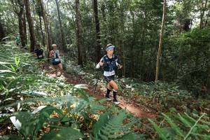 BIB: 
                            <button type="button" onclick="openModal(22545404)" class="btn btn-primary btn-sm float-right btn-popup" data-toggle="modal" data-target=".modal-high-quality">
                        <i class="fas fa-shopping-cart"></i> Add to Cart
                    </button>
                                            <button type="button" onclick="isThisMe(22545404, true)" class="btn btn-success btn-sm float-right btn-popup btn-isme hidden" data-toggle="tooltip" data-placement="bottom" title="นี่คือรูปของคุณใช่ไหม คลิกที่นี่เพื่อเอาเข้าอัลบั้ม">
                        <i class="fas fa-plus"></i> Add to album
                    </button>
                    <button type="button" onclick="isThisMe(22545404, false)" class="btn btn-warning btn-sm float-right btn-popup btn-isnotme hidden">
                        <i class="fas fa-ban"></i> Remove from album
                    </button>