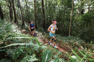 BIB: 
                            <button type="button" onclick="openModal(22562347)" class="btn btn-primary btn-sm float-right btn-popup" data-toggle="modal" data-target=".modal-high-quality">
                        <i class="fas fa-shopping-cart"></i> Add to Cart
                    </button>
                                            <button type="button" onclick="isThisMe(22562347, true)" class="btn btn-success btn-sm float-right btn-popup btn-isme hidden" data-toggle="tooltip" data-placement="bottom" title="นี่คือรูปของคุณใช่ไหม คลิกที่นี่เพื่อเอาเข้าอัลบั้ม">
                        <i class="fas fa-plus"></i> Add to album
                    </button>
                    <button type="button" onclick="isThisMe(22562347, false)" class="btn btn-warning btn-sm float-right btn-popup btn-isnotme hidden">
                        <i class="fas fa-ban"></i> Remove from album
                    </button>