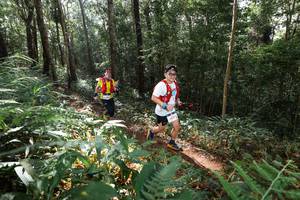 BIB: 
                            <button type="button" onclick="openModal(22544859)" class="btn btn-primary btn-sm float-right btn-popup" data-toggle="modal" data-target=".modal-high-quality">
                        <i class="fas fa-shopping-cart"></i> Add to Cart
                    </button>
                                            <button type="button" onclick="isThisMe(22544859, true)" class="btn btn-success btn-sm float-right btn-popup btn-isme hidden" data-toggle="tooltip" data-placement="bottom" title="นี่คือรูปของคุณใช่ไหม คลิกที่นี่เพื่อเอาเข้าอัลบั้ม">
                        <i class="fas fa-plus"></i> Add to album
                    </button>
                    <button type="button" onclick="isThisMe(22544859, false)" class="btn btn-warning btn-sm float-right btn-popup btn-isnotme hidden">
                        <i class="fas fa-ban"></i> Remove from album
                    </button>