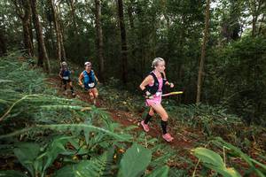 BIB: 
                            <button type="button" onclick="openModal(22534435)" class="btn btn-primary btn-sm float-right btn-popup" data-toggle="modal" data-target=".modal-high-quality">
                        <i class="fas fa-shopping-cart"></i> Add to Cart
                    </button>
                                            <button type="button" onclick="isThisMe(22534435, true)" class="btn btn-success btn-sm float-right btn-popup btn-isme hidden" data-toggle="tooltip" data-placement="bottom" title="นี่คือรูปของคุณใช่ไหม คลิกที่นี่เพื่อเอาเข้าอัลบั้ม">
                        <i class="fas fa-plus"></i> Add to album
                    </button>
                    <button type="button" onclick="isThisMe(22534435, false)" class="btn btn-warning btn-sm float-right btn-popup btn-isnotme hidden">
                        <i class="fas fa-ban"></i> Remove from album
                    </button>