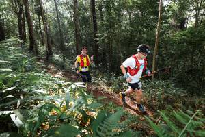 BIB: 
                            <button type="button" onclick="openModal(22544866)" class="btn btn-primary btn-sm float-right btn-popup" data-toggle="modal" data-target=".modal-high-quality">
                        <i class="fas fa-shopping-cart"></i> Add to Cart
                    </button>
                                            <button type="button" onclick="isThisMe(22544866, true)" class="btn btn-success btn-sm float-right btn-popup btn-isme hidden" data-toggle="tooltip" data-placement="bottom" title="นี่คือรูปของคุณใช่ไหม คลิกที่นี่เพื่อเอาเข้าอัลบั้ม">
                        <i class="fas fa-plus"></i> Add to album
                    </button>
                    <button type="button" onclick="isThisMe(22544866, false)" class="btn btn-warning btn-sm float-right btn-popup btn-isnotme hidden">
                        <i class="fas fa-ban"></i> Remove from album
                    </button>