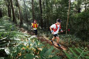 BIB: 
                            <button type="button" onclick="openModal(22544865)" class="btn btn-primary btn-sm float-right btn-popup" data-toggle="modal" data-target=".modal-high-quality">
                        <i class="fas fa-shopping-cart"></i> Add to Cart
                    </button>
                                            <button type="button" onclick="isThisMe(22544865, true)" class="btn btn-success btn-sm float-right btn-popup btn-isme hidden" data-toggle="tooltip" data-placement="bottom" title="นี่คือรูปของคุณใช่ไหม คลิกที่นี่เพื่อเอาเข้าอัลบั้ม">
                        <i class="fas fa-plus"></i> Add to album
                    </button>
                    <button type="button" onclick="isThisMe(22544865, false)" class="btn btn-warning btn-sm float-right btn-popup btn-isnotme hidden">
                        <i class="fas fa-ban"></i> Remove from album
                    </button>