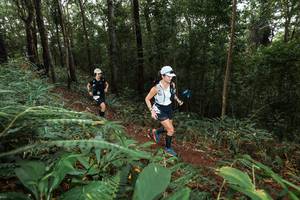 BIB: 
                            <button type="button" onclick="openModal(22538902)" class="btn btn-primary btn-sm float-right btn-popup" data-toggle="modal" data-target=".modal-high-quality">
                        <i class="fas fa-shopping-cart"></i> Add to Cart
                    </button>
                                            <button type="button" onclick="isThisMe(22538902, true)" class="btn btn-success btn-sm float-right btn-popup btn-isme hidden" data-toggle="tooltip" data-placement="bottom" title="นี่คือรูปของคุณใช่ไหม คลิกที่นี่เพื่อเอาเข้าอัลบั้ม">
                        <i class="fas fa-plus"></i> Add to album
                    </button>
                    <button type="button" onclick="isThisMe(22538902, false)" class="btn btn-warning btn-sm float-right btn-popup btn-isnotme hidden">
                        <i class="fas fa-ban"></i> Remove from album
                    </button>