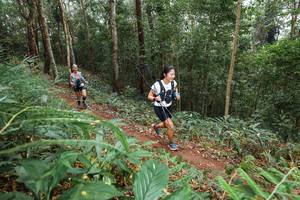 BIB: 
                            <button type="button" onclick="openModal(22583504)" class="btn btn-primary btn-sm float-right btn-popup" data-toggle="modal" data-target=".modal-high-quality">
                        <i class="fas fa-shopping-cart"></i> Add to Cart
                    </button>
                                            <button type="button" onclick="isThisMe(22583504, true)" class="btn btn-success btn-sm float-right btn-popup btn-isme hidden" data-toggle="tooltip" data-placement="bottom" title="นี่คือรูปของคุณใช่ไหม คลิกที่นี่เพื่อเอาเข้าอัลบั้ม">
                        <i class="fas fa-plus"></i> Add to album
                    </button>
                    <button type="button" onclick="isThisMe(22583504, false)" class="btn btn-warning btn-sm float-right btn-popup btn-isnotme hidden">
                        <i class="fas fa-ban"></i> Remove from album
                    </button>