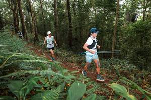 BIB: 
                            <button type="button" onclick="openModal(22534742)" class="btn btn-primary btn-sm float-right btn-popup" data-toggle="modal" data-target=".modal-high-quality">
                        <i class="fas fa-shopping-cart"></i> Add to Cart
                    </button>
                                            <button type="button" onclick="isThisMe(22534742, true)" class="btn btn-success btn-sm float-right btn-popup btn-isme hidden" data-toggle="tooltip" data-placement="bottom" title="นี่คือรูปของคุณใช่ไหม คลิกที่นี่เพื่อเอาเข้าอัลบั้ม">
                        <i class="fas fa-plus"></i> Add to album
                    </button>
                    <button type="button" onclick="isThisMe(22534742, false)" class="btn btn-warning btn-sm float-right btn-popup btn-isnotme hidden">
                        <i class="fas fa-ban"></i> Remove from album
                    </button>