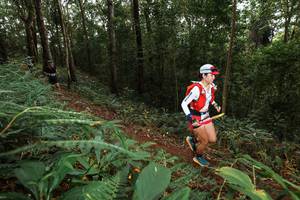 BIB: 
                            <button type="button" onclick="openModal(22536730)" class="btn btn-primary btn-sm float-right btn-popup" data-toggle="modal" data-target=".modal-high-quality">
                        <i class="fas fa-shopping-cart"></i> Add to Cart
                    </button>
                                            <button type="button" onclick="isThisMe(22536730, true)" class="btn btn-success btn-sm float-right btn-popup btn-isme hidden" data-toggle="tooltip" data-placement="bottom" title="นี่คือรูปของคุณใช่ไหม คลิกที่นี่เพื่อเอาเข้าอัลบั้ม">
                        <i class="fas fa-plus"></i> Add to album
                    </button>
                    <button type="button" onclick="isThisMe(22536730, false)" class="btn btn-warning btn-sm float-right btn-popup btn-isnotme hidden">
                        <i class="fas fa-ban"></i> Remove from album
                    </button>