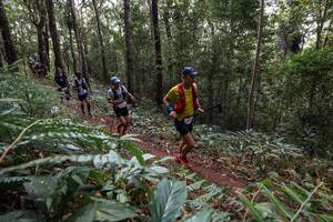 BIB: 
                            <button type="button" onclick="openModal(22564389)" class="btn btn-primary btn-sm float-right btn-popup" data-toggle="modal" data-target=".modal-high-quality">
                        <i class="fas fa-shopping-cart"></i> Add to Cart
                    </button>
                                            <button type="button" onclick="isThisMe(22564389, true)" class="btn btn-success btn-sm float-right btn-popup btn-isme hidden" data-toggle="tooltip" data-placement="bottom" title="นี่คือรูปของคุณใช่ไหม คลิกที่นี่เพื่อเอาเข้าอัลบั้ม">
                        <i class="fas fa-plus"></i> Add to album
                    </button>
                    <button type="button" onclick="isThisMe(22564389, false)" class="btn btn-warning btn-sm float-right btn-popup btn-isnotme hidden">
                        <i class="fas fa-ban"></i> Remove from album
                    </button>