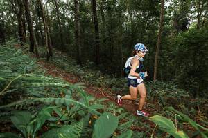 BIB: 
                            <button type="button" onclick="openModal(22537392)" class="btn btn-primary btn-sm float-right btn-popup" data-toggle="modal" data-target=".modal-high-quality">
                        <i class="fas fa-shopping-cart"></i> Add to Cart
                    </button>
                                            <button type="button" onclick="isThisMe(22537392, true)" class="btn btn-success btn-sm float-right btn-popup btn-isme hidden" data-toggle="tooltip" data-placement="bottom" title="นี่คือรูปของคุณใช่ไหม คลิกที่นี่เพื่อเอาเข้าอัลบั้ม">
                        <i class="fas fa-plus"></i> Add to album
                    </button>
                    <button type="button" onclick="isThisMe(22537392, false)" class="btn btn-warning btn-sm float-right btn-popup btn-isnotme hidden">
                        <i class="fas fa-ban"></i> Remove from album
                    </button>