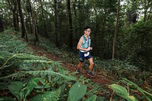 BIB: 
                            <button type="button" onclick="openModal(22541491)" class="btn btn-primary btn-sm float-right btn-popup" data-toggle="modal" data-target=".modal-high-quality">
                        <i class="fas fa-shopping-cart"></i> Add to Cart
                    </button>
                                            <button type="button" onclick="isThisMe(22541491, true)" class="btn btn-success btn-sm float-right btn-popup btn-isme hidden" data-toggle="tooltip" data-placement="bottom" title="นี่คือรูปของคุณใช่ไหม คลิกที่นี่เพื่อเอาเข้าอัลบั้ม">
                        <i class="fas fa-plus"></i> Add to album
                    </button>
                    <button type="button" onclick="isThisMe(22541491, false)" class="btn btn-warning btn-sm float-right btn-popup btn-isnotme hidden">
                        <i class="fas fa-ban"></i> Remove from album
                    </button>