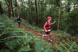 BIB: 
                            <button type="button" onclick="openModal(22568369)" class="btn btn-primary btn-sm float-right btn-popup" data-toggle="modal" data-target=".modal-high-quality">
                        <i class="fas fa-shopping-cart"></i> Add to Cart
                    </button>
                                            <button type="button" onclick="isThisMe(22568369, true)" class="btn btn-success btn-sm float-right btn-popup btn-isme hidden" data-toggle="tooltip" data-placement="bottom" title="นี่คือรูปของคุณใช่ไหม คลิกที่นี่เพื่อเอาเข้าอัลบั้ม">
                        <i class="fas fa-plus"></i> Add to album
                    </button>
                    <button type="button" onclick="isThisMe(22568369, false)" class="btn btn-warning btn-sm float-right btn-popup btn-isnotme hidden">
                        <i class="fas fa-ban"></i> Remove from album
                    </button>