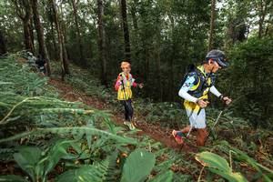 BIB: 
                            <button type="button" onclick="openModal(22538703)" class="btn btn-primary btn-sm float-right btn-popup" data-toggle="modal" data-target=".modal-high-quality">
                        <i class="fas fa-shopping-cart"></i> Add to Cart
                    </button>
                                            <button type="button" onclick="isThisMe(22538703, true)" class="btn btn-success btn-sm float-right btn-popup btn-isme hidden" data-toggle="tooltip" data-placement="bottom" title="นี่คือรูปของคุณใช่ไหม คลิกที่นี่เพื่อเอาเข้าอัลบั้ม">
                        <i class="fas fa-plus"></i> Add to album
                    </button>
                    <button type="button" onclick="isThisMe(22538703, false)" class="btn btn-warning btn-sm float-right btn-popup btn-isnotme hidden">
                        <i class="fas fa-ban"></i> Remove from album
                    </button>