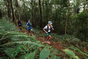 BIB: 
                            <button type="button" onclick="openModal(22534664)" class="btn btn-primary btn-sm float-right btn-popup" data-toggle="modal" data-target=".modal-high-quality">
                        <i class="fas fa-shopping-cart"></i> Add to Cart
                    </button>
                                            <button type="button" onclick="isThisMe(22534664, true)" class="btn btn-success btn-sm float-right btn-popup btn-isme hidden" data-toggle="tooltip" data-placement="bottom" title="นี่คือรูปของคุณใช่ไหม คลิกที่นี่เพื่อเอาเข้าอัลบั้ม">
                        <i class="fas fa-plus"></i> Add to album
                    </button>
                    <button type="button" onclick="isThisMe(22534664, false)" class="btn btn-warning btn-sm float-right btn-popup btn-isnotme hidden">
                        <i class="fas fa-ban"></i> Remove from album
                    </button>