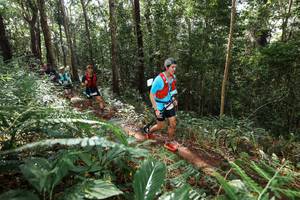 BIB: 
                            <button type="button" onclick="openModal(22547384)" class="btn btn-primary btn-sm float-right btn-popup" data-toggle="modal" data-target=".modal-high-quality">
                        <i class="fas fa-shopping-cart"></i> Add to Cart
                    </button>
                                            <button type="button" onclick="isThisMe(22547384, true)" class="btn btn-success btn-sm float-right btn-popup btn-isme hidden" data-toggle="tooltip" data-placement="bottom" title="นี่คือรูปของคุณใช่ไหม คลิกที่นี่เพื่อเอาเข้าอัลบั้ม">
                        <i class="fas fa-plus"></i> Add to album
                    </button>
                    <button type="button" onclick="isThisMe(22547384, false)" class="btn btn-warning btn-sm float-right btn-popup btn-isnotme hidden">
                        <i class="fas fa-ban"></i> Remove from album
                    </button>