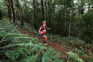 BIB: 
                            <button type="button" onclick="openModal(22542392)" class="btn btn-primary btn-sm float-right btn-popup" data-toggle="modal" data-target=".modal-high-quality">
                        <i class="fas fa-shopping-cart"></i> Add to Cart
                    </button>
                                            <button type="button" onclick="isThisMe(22542392, true)" class="btn btn-success btn-sm float-right btn-popup btn-isme hidden" data-toggle="tooltip" data-placement="bottom" title="นี่คือรูปของคุณใช่ไหม คลิกที่นี่เพื่อเอาเข้าอัลบั้ม">
                        <i class="fas fa-plus"></i> Add to album
                    </button>
                    <button type="button" onclick="isThisMe(22542392, false)" class="btn btn-warning btn-sm float-right btn-popup btn-isnotme hidden">
                        <i class="fas fa-ban"></i> Remove from album
                    </button>