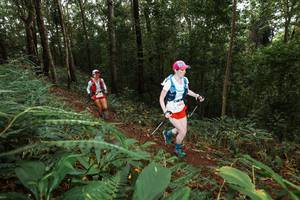 BIB: 
                            <button type="button" onclick="openModal(22536685)" class="btn btn-primary btn-sm float-right btn-popup" data-toggle="modal" data-target=".modal-high-quality">
                        <i class="fas fa-shopping-cart"></i> Add to Cart
                    </button>
                                            <button type="button" onclick="isThisMe(22536685, true)" class="btn btn-success btn-sm float-right btn-popup btn-isme hidden" data-toggle="tooltip" data-placement="bottom" title="นี่คือรูปของคุณใช่ไหม คลิกที่นี่เพื่อเอาเข้าอัลบั้ม">
                        <i class="fas fa-plus"></i> Add to album
                    </button>
                    <button type="button" onclick="isThisMe(22536685, false)" class="btn btn-warning btn-sm float-right btn-popup btn-isnotme hidden">
                        <i class="fas fa-ban"></i> Remove from album
                    </button>