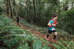 BIB: 
                            <button type="button" onclick="openModal(22584735)" class="btn btn-primary btn-sm float-right btn-popup" data-toggle="modal" data-target=".modal-high-quality">
                        <i class="fas fa-shopping-cart"></i> Add to Cart
                    </button>
                                            <button type="button" onclick="isThisMe(22584735, true)" class="btn btn-success btn-sm float-right btn-popup btn-isme hidden" data-toggle="tooltip" data-placement="bottom" title="นี่คือรูปของคุณใช่ไหม คลิกที่นี่เพื่อเอาเข้าอัลบั้ม">
                        <i class="fas fa-plus"></i> Add to album
                    </button>
                    <button type="button" onclick="isThisMe(22584735, false)" class="btn btn-warning btn-sm float-right btn-popup btn-isnotme hidden">
                        <i class="fas fa-ban"></i> Remove from album
                    </button>