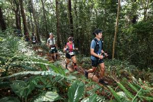 BIB: 
                            <button type="button" onclick="openModal(22547430)" class="btn btn-primary btn-sm float-right btn-popup" data-toggle="modal" data-target=".modal-high-quality">
                        <i class="fas fa-shopping-cart"></i> Add to Cart
                    </button>
                                            <button type="button" onclick="isThisMe(22547430, true)" class="btn btn-success btn-sm float-right btn-popup btn-isme hidden" data-toggle="tooltip" data-placement="bottom" title="นี่คือรูปของคุณใช่ไหม คลิกที่นี่เพื่อเอาเข้าอัลบั้ม">
                        <i class="fas fa-plus"></i> Add to album
                    </button>
                    <button type="button" onclick="isThisMe(22547430, false)" class="btn btn-warning btn-sm float-right btn-popup btn-isnotme hidden">
                        <i class="fas fa-ban"></i> Remove from album
                    </button>