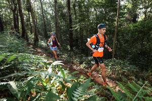 BIB: 5547
                            <button type="button" onclick="openModal(22544356)" class="btn btn-primary btn-sm float-right btn-popup" data-toggle="modal" data-target=".modal-high-quality">
                        <i class="fas fa-shopping-cart"></i> Add to Cart
                    </button>
                                            <button type="button" onclick="isThisMe(22544356, true)" class="btn btn-success btn-sm float-right btn-popup btn-isme hidden" data-toggle="tooltip" data-placement="bottom" title="นี่คือรูปของคุณใช่ไหม คลิกที่นี่เพื่อเอาเข้าอัลบั้ม">
                        <i class="fas fa-plus"></i> Add to album
                    </button>
                    <button type="button" onclick="isThisMe(22544356, false)" class="btn btn-warning btn-sm float-right btn-popup btn-isnotme hidden">
                        <i class="fas fa-ban"></i> Remove from album
                    </button>