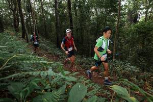 BIB: 
                            <button type="button" onclick="openModal(22541518)" class="btn btn-primary btn-sm float-right btn-popup" data-toggle="modal" data-target=".modal-high-quality">
                        <i class="fas fa-shopping-cart"></i> Add to Cart
                    </button>
                                            <button type="button" onclick="isThisMe(22541518, true)" class="btn btn-success btn-sm float-right btn-popup btn-isme hidden" data-toggle="tooltip" data-placement="bottom" title="นี่คือรูปของคุณใช่ไหม คลิกที่นี่เพื่อเอาเข้าอัลบั้ม">
                        <i class="fas fa-plus"></i> Add to album
                    </button>
                    <button type="button" onclick="isThisMe(22541518, false)" class="btn btn-warning btn-sm float-right btn-popup btn-isnotme hidden">
                        <i class="fas fa-ban"></i> Remove from album
                    </button>